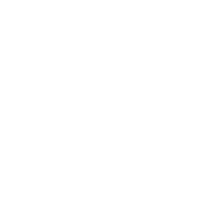 Reality Kings