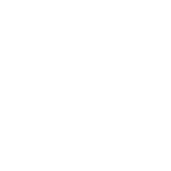 VIXEN